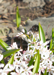 Similar image 2710783