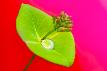 Similar image 2710787