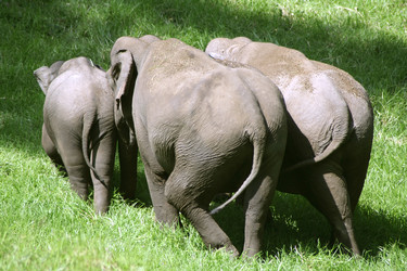 Similar image 2710879