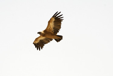 Similar image 2710888