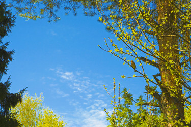 Similar image 2711086