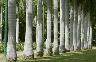 Similar image 2711302