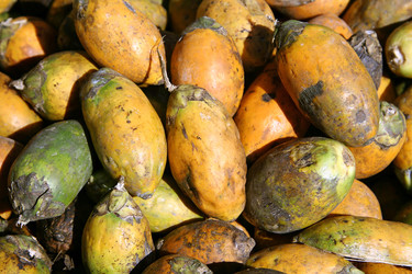 Similar image 2711486