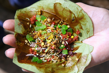 Similar image 2711549