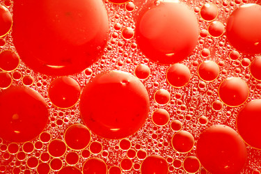 Similar image 2711606