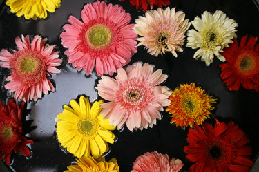 Similar image 2711769