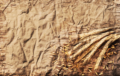 Similar image 2711860