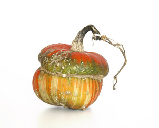 Similar image 2711962