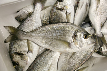 Similar image 2712039