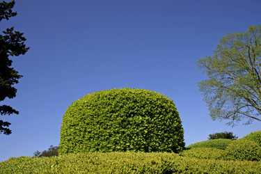 Similar image 2712050