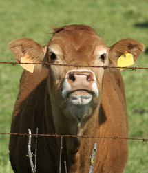 Similar image 2712126