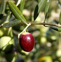 Similar image 2712142