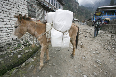 Similar image 2712303