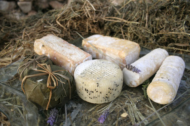 Similar image 2712344