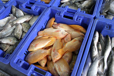 Similar image 2712547