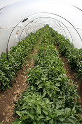 Similar image 2712909