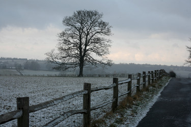 Similar image 2712975