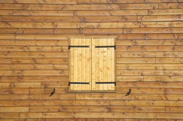 Similar image 2712981