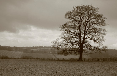 Similar image 2713063