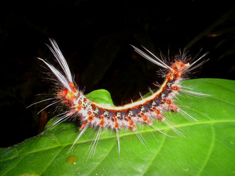 Similar image 2713225