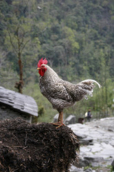 Similar image 2713318