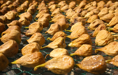 Similar image 2713412