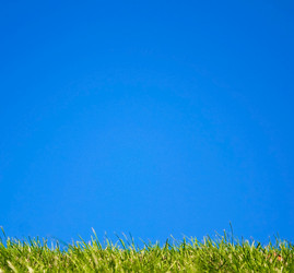 Similar image 2713577