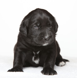 Similar image 2713855