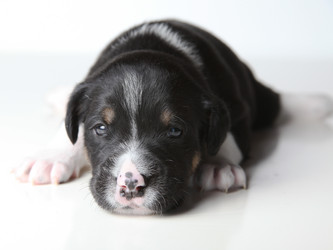 Similar image 2713859