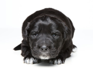 Similar image 2713862