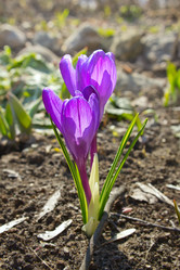 Similar image 2723861