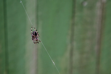 Similar image 2724616