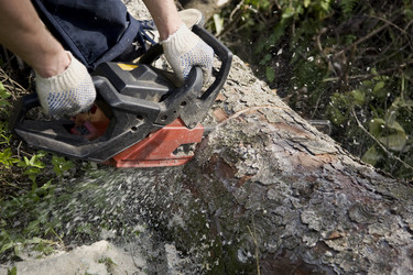 Similar image 2724618