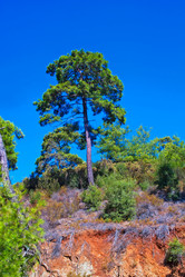 Similar image 2724664