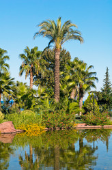 Similar image 2724672