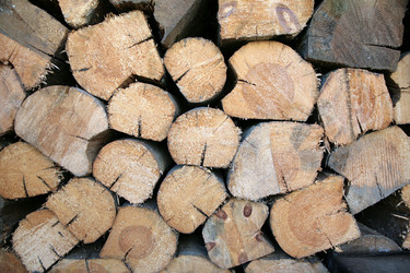 Similar image 2724682