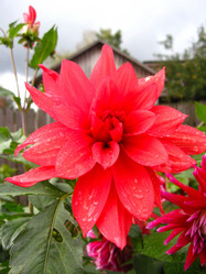 Similar image 2724730