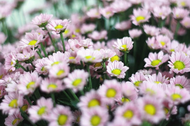 Similar image 2724828