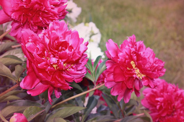 Similar image 2724830