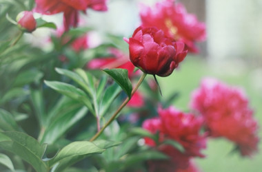 Similar image 2724831