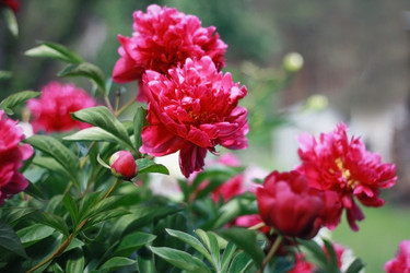 Similar image 2724832