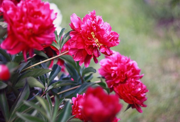 Similar image 2724833