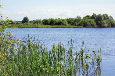 Similar image 2724875