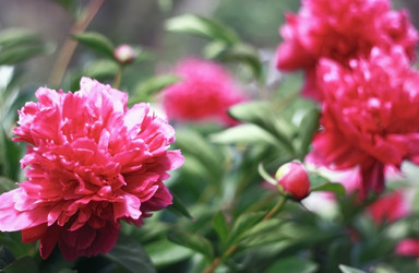 Similar image 2724876