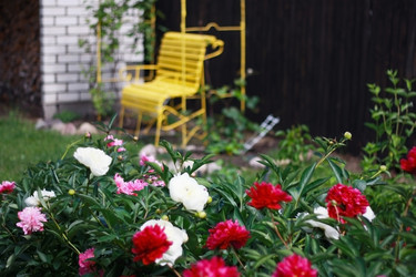 Similar image 2724877