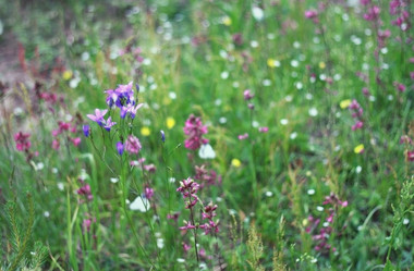 Similar image 2724878