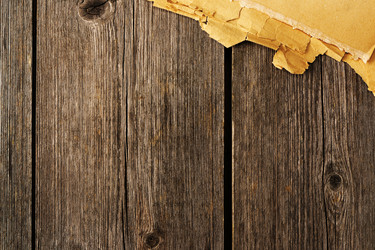 Similar image 2725596