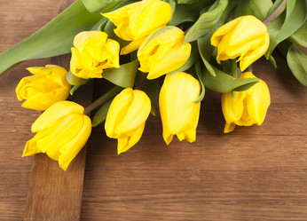 Similar image 2725821