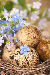 Similar image 2725896