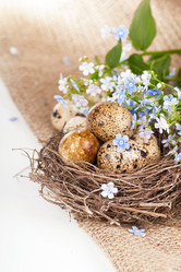 Similar image 2725899